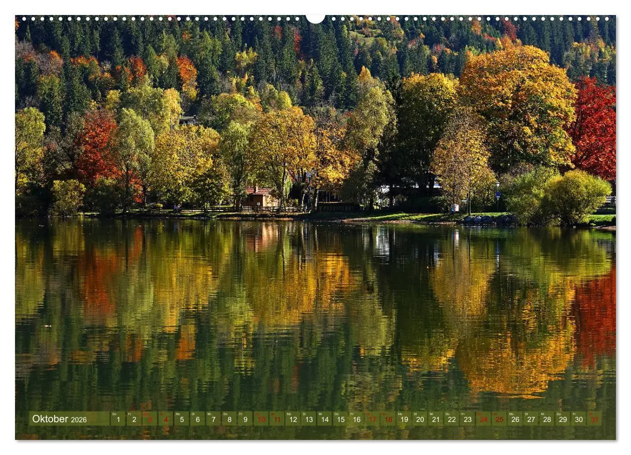 Bild: 9783457698273 | Mit Bäumen durchs Jahr (hochwertiger Premium Wandkalender 2026 DIN...