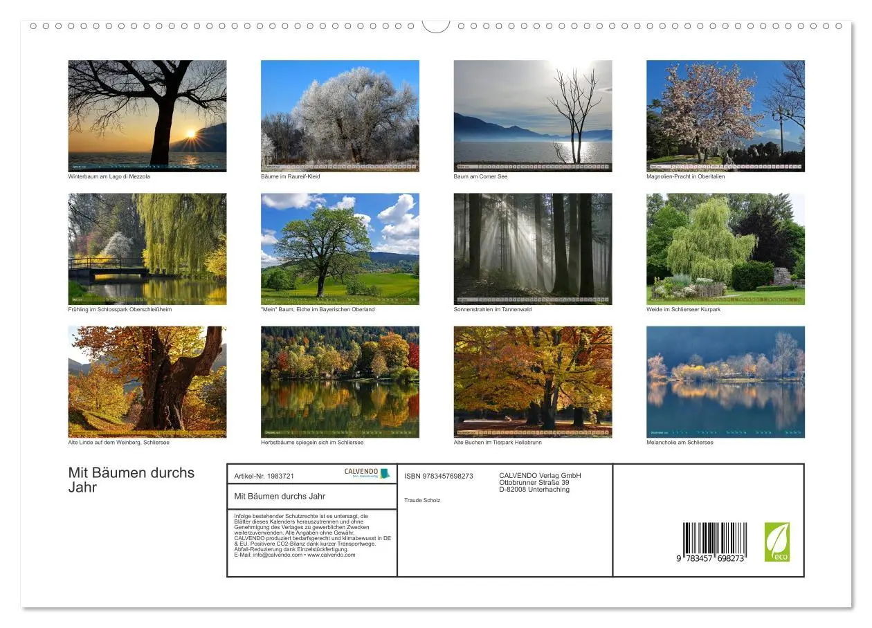 Bild: 9783457698273 | Mit Bäumen durchs Jahr (hochwertiger Premium Wandkalender 2026 DIN...