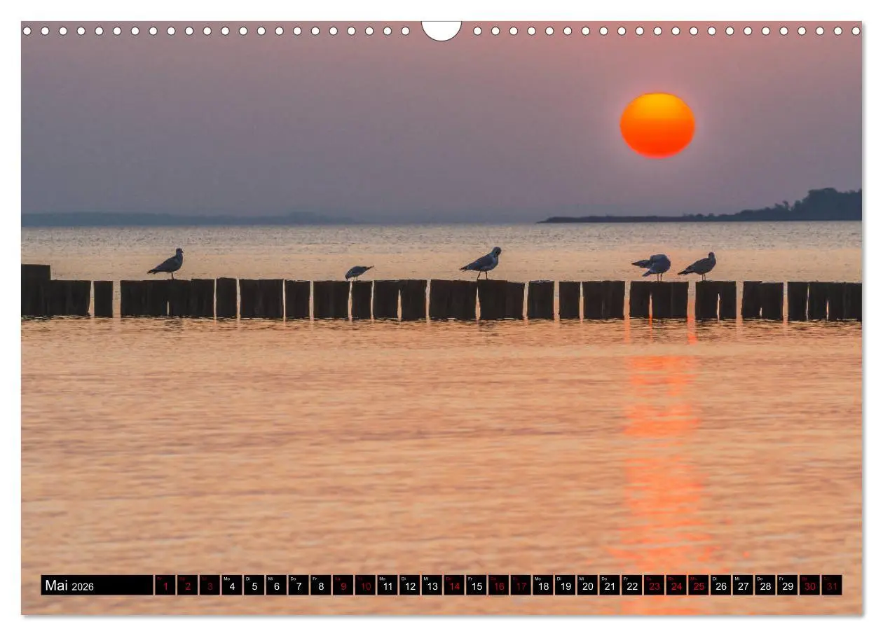 Bild: 9783457838273 | Ostsee - Boltenhagen (Wandkalender 2026 DIN A3 quer), CALVENDO...