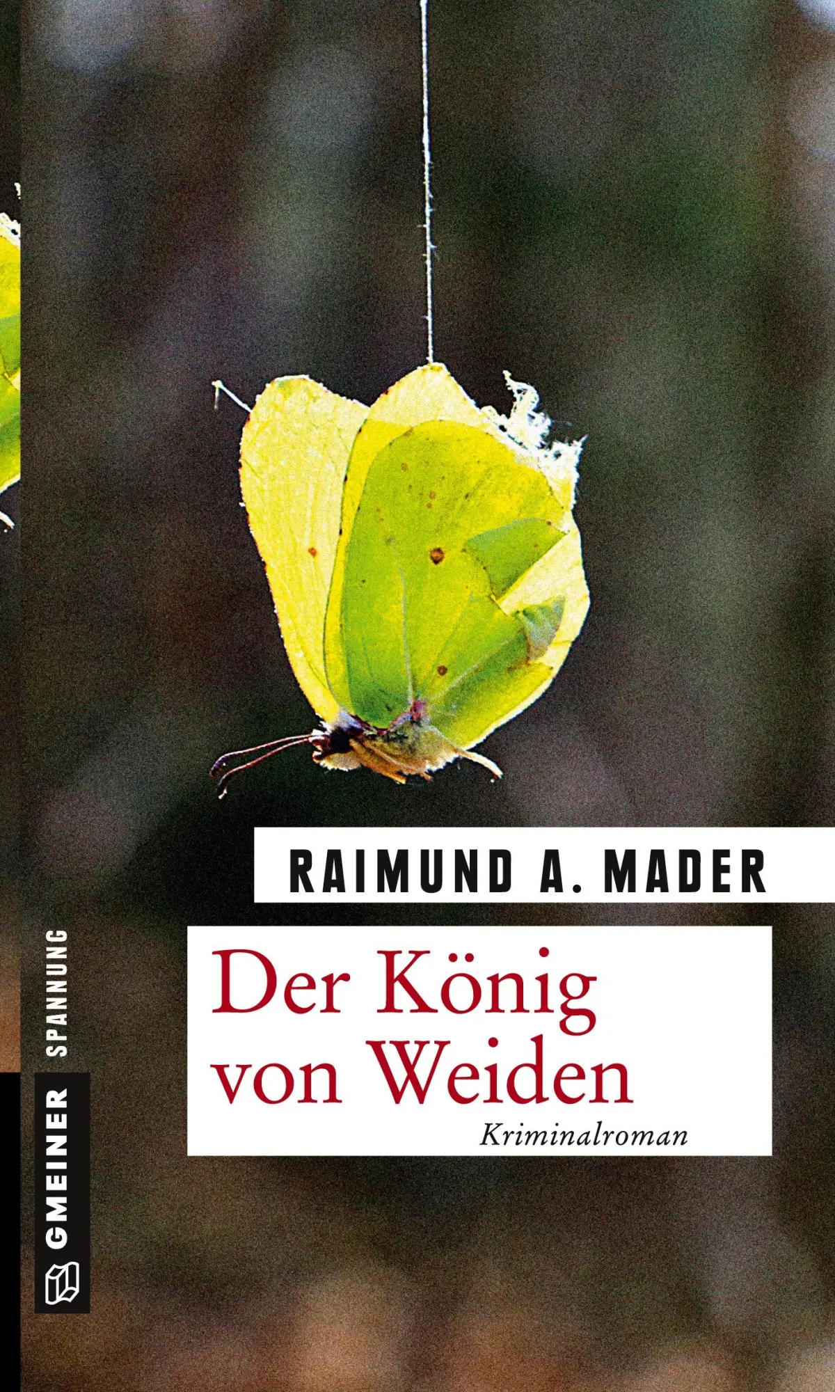 Cover: 9783839218273 | Der König von Weiden | Raimund A. Mader | Taschenbuch | 280 S. | 2016