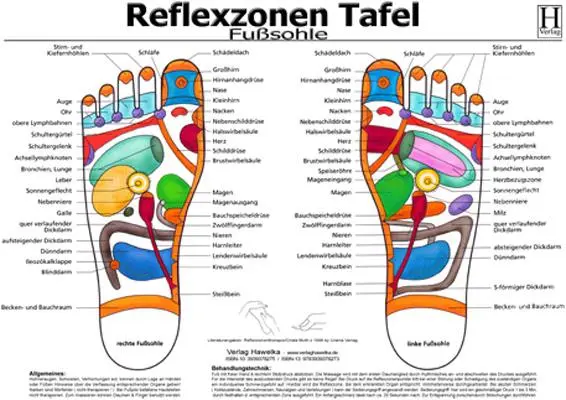 Cover: 9783939378273 | Fussreflexzonen Tafel. Fusssohle. DIN A3 | Poster | Deutsch | 2010