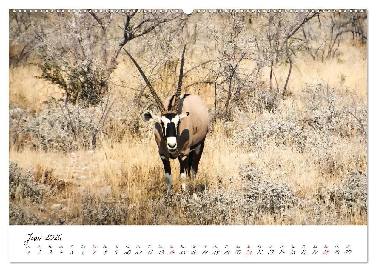 Bild: 9783457448373 | X Tage in Namibia - Ein Roadtrip im Süden von Afrika (hochwertiger...