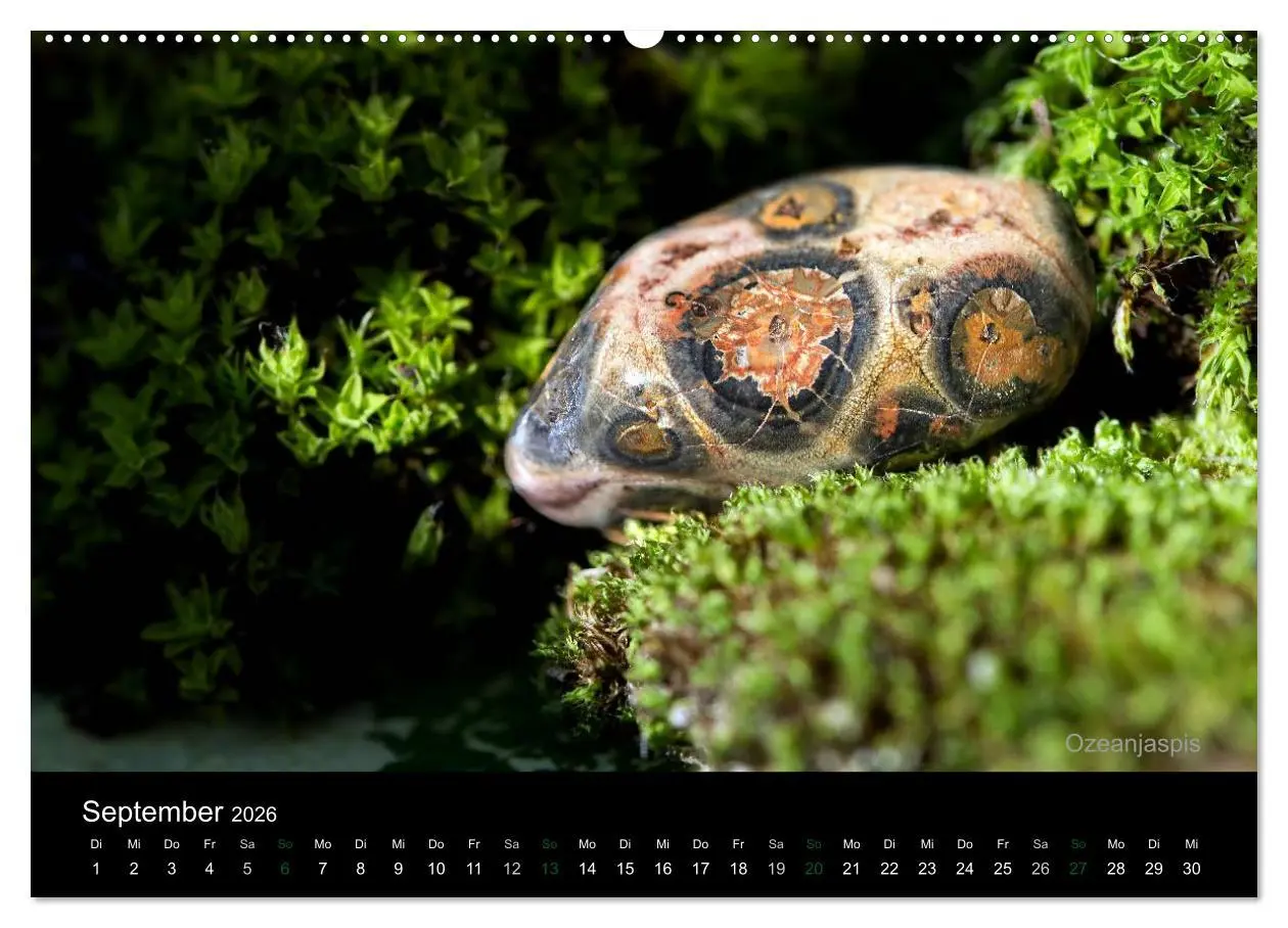 Bild: 9783516088373 | Edelsteine. Wunder der Natur (Wandkalender 2026 DIN A2 quer),...