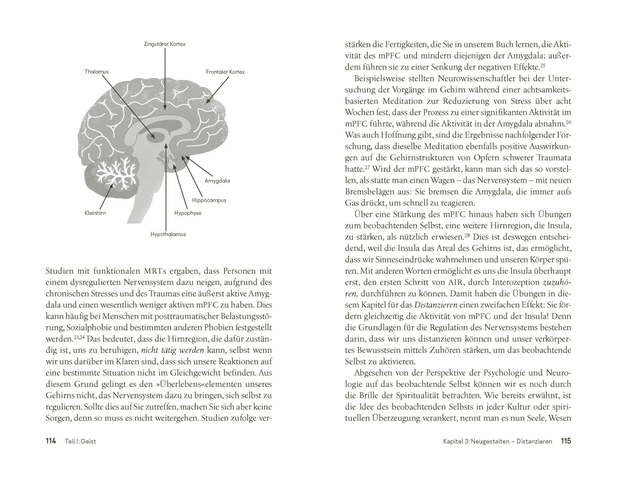 Bild: 9783466348473 | Die geheime Sprache unseres Körpers | Jennifer Mann (u. a.) | Buch