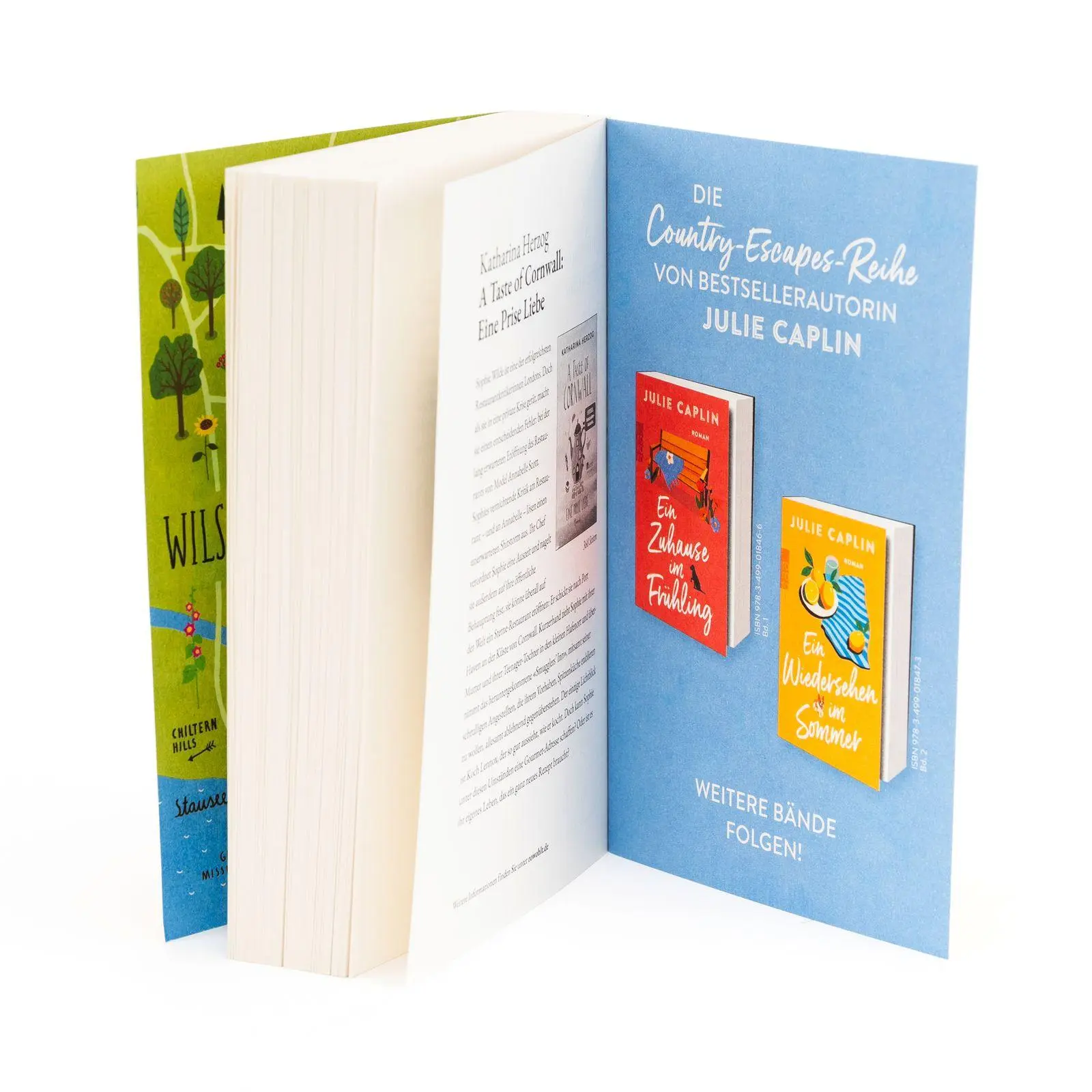 Bild: 9783499018473 | Ein Wiedersehen im Sommer | Julie Caplin | Taschenbuch | 416 S. | 2026