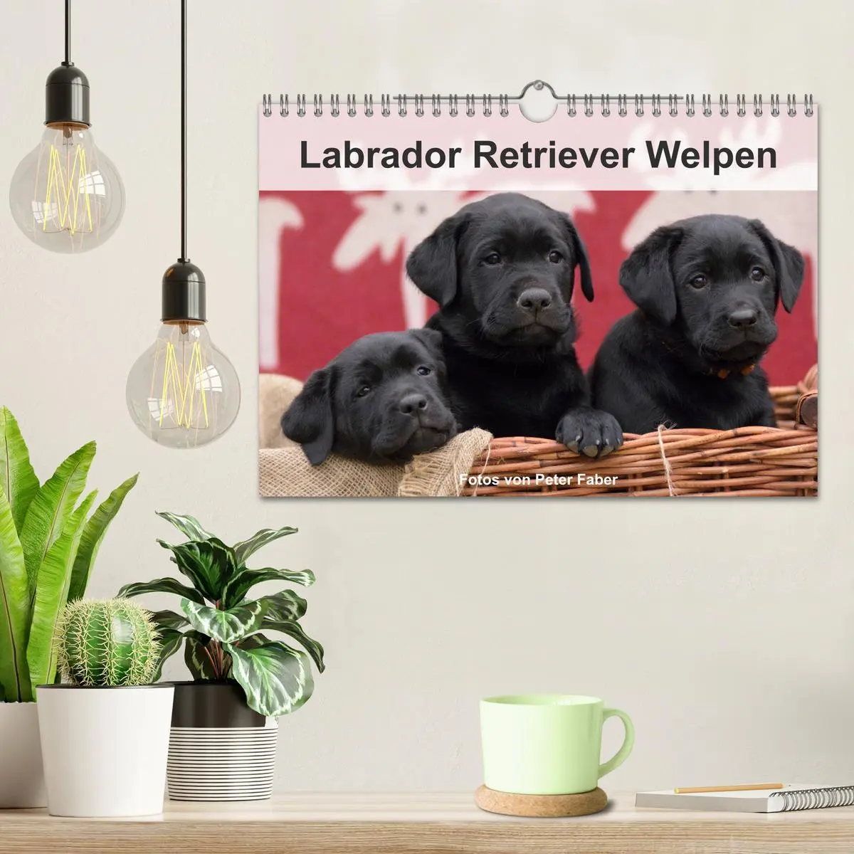 Bild: 9783457808573 | Labrador Retriever Welpen (Wandkalender 2026 DIN A4 quer), CALVENDO...