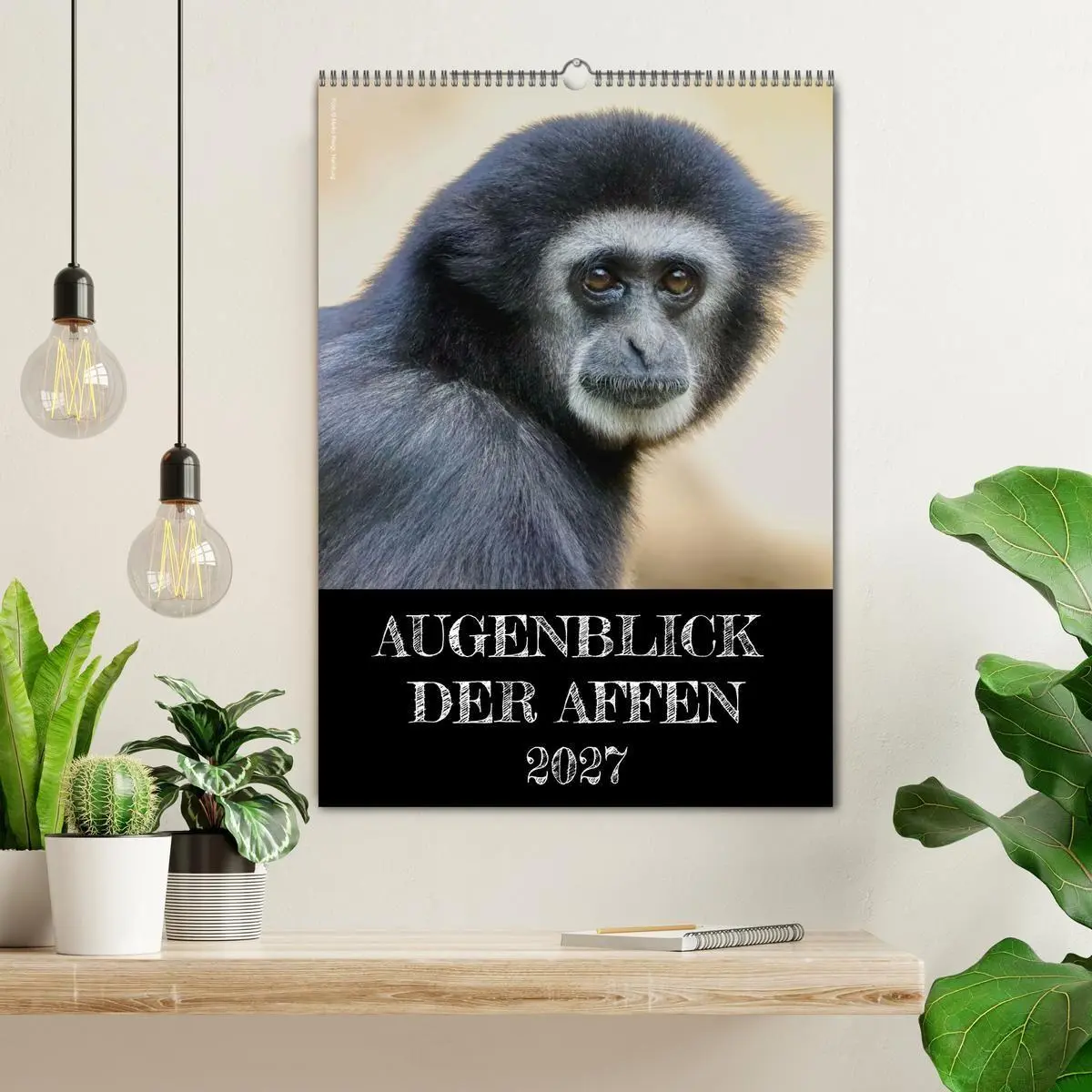 Bild: 9783569848573 | Augenblick der Affen 2027 (Wandkalender 2027 DIN A2 hoch), CALVENDO...