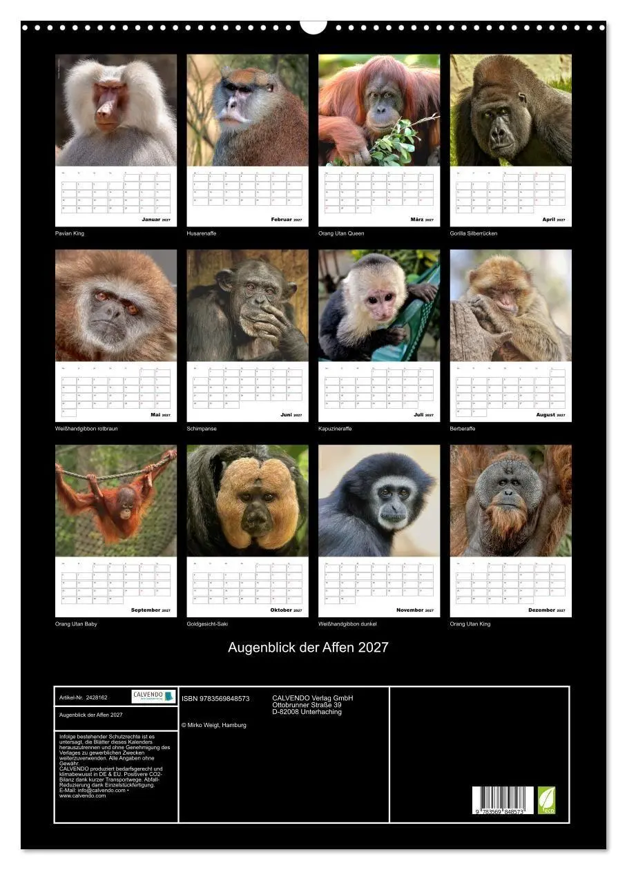 Bild: 9783569848573 | Augenblick der Affen 2027 (Wandkalender 2027 DIN A2 hoch), CALVENDO...