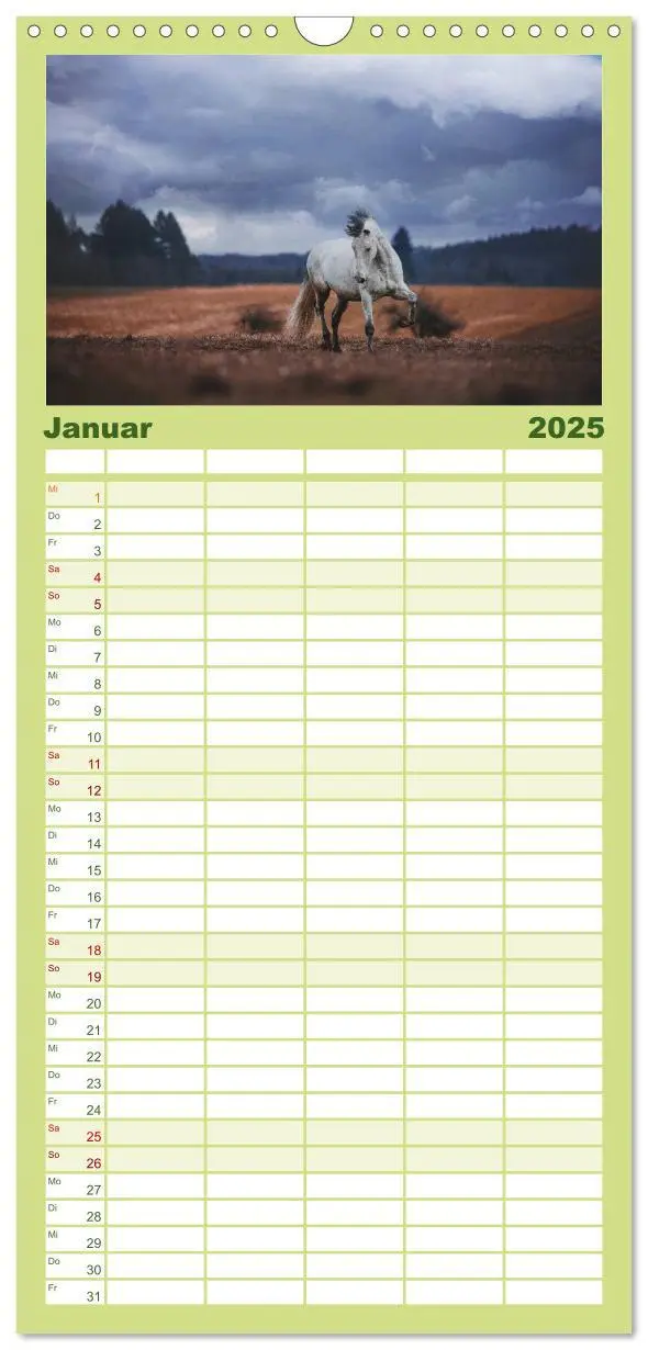 Bild: 9783457108673 | Familienplaner 2025 - Die Faszinierende Welt der Pferde mit 5...
