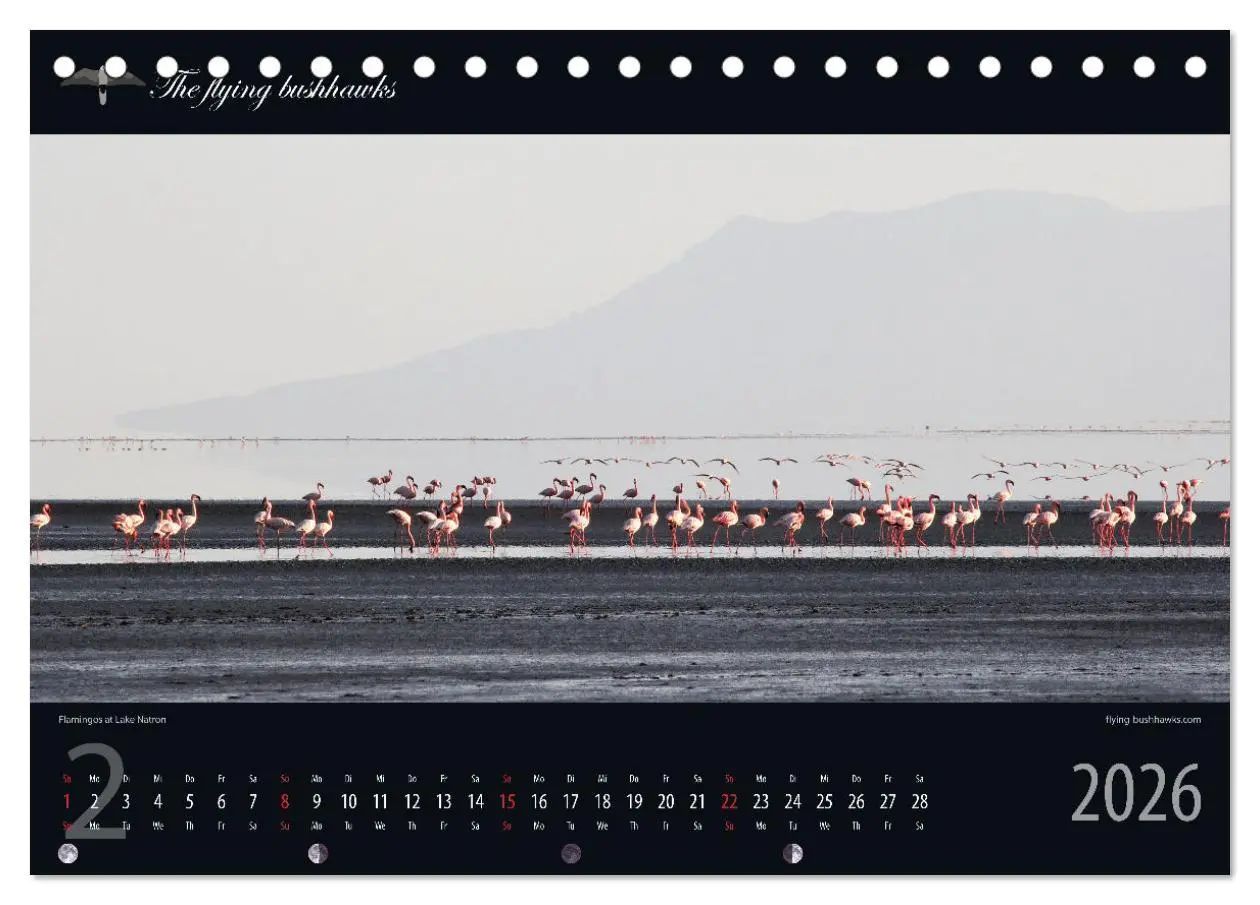 Bild: 9783457278673 | Tansania Blickwinkel 2026 (Tischkalender 2026 DIN A5 quer),...