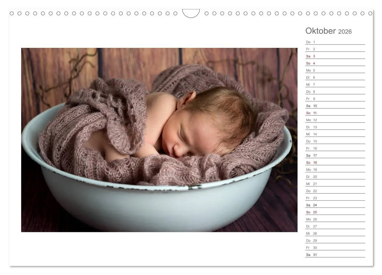 Bild: 9783457898673 | Aller Anfang ist klein - Babykalender mit Noah (Wandkalender 2026...
