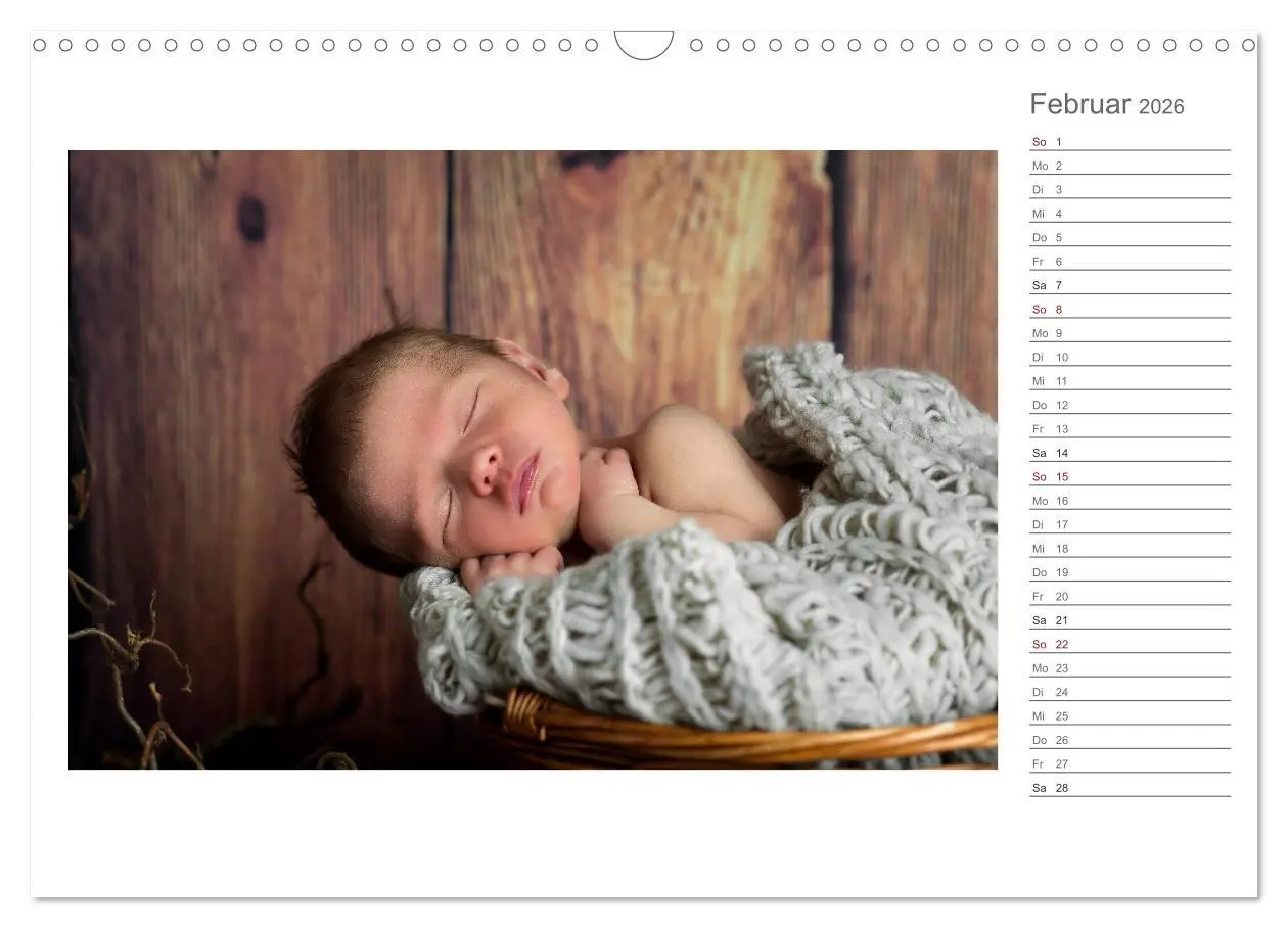 Bild: 9783457898673 | Aller Anfang ist klein - Babykalender mit Noah (Wandkalender 2026...