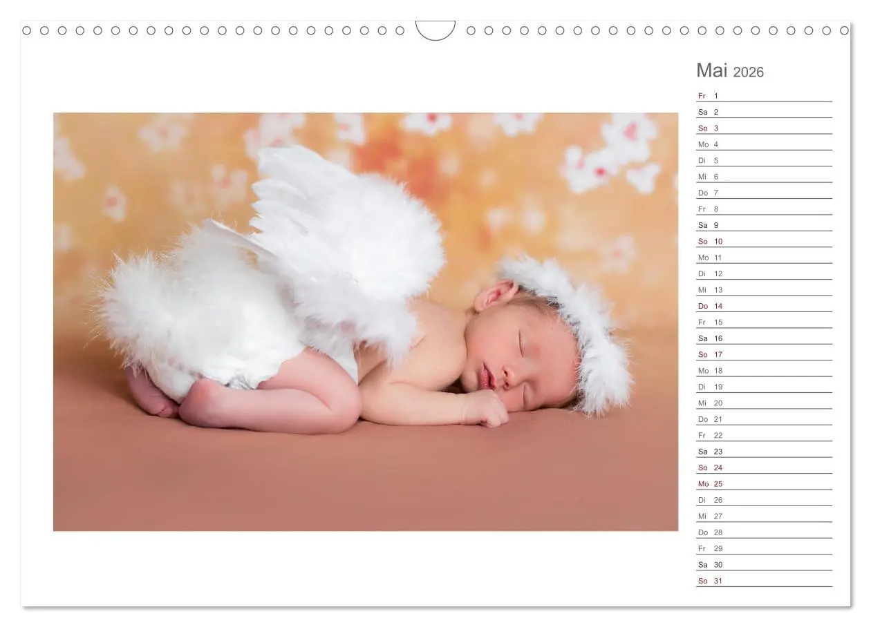 Bild: 9783457898673 | Aller Anfang ist klein - Babykalender mit Noah (Wandkalender 2026...