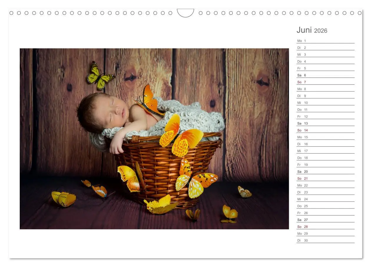 Bild: 9783457898673 | Aller Anfang ist klein - Babykalender mit Noah (Wandkalender 2026...