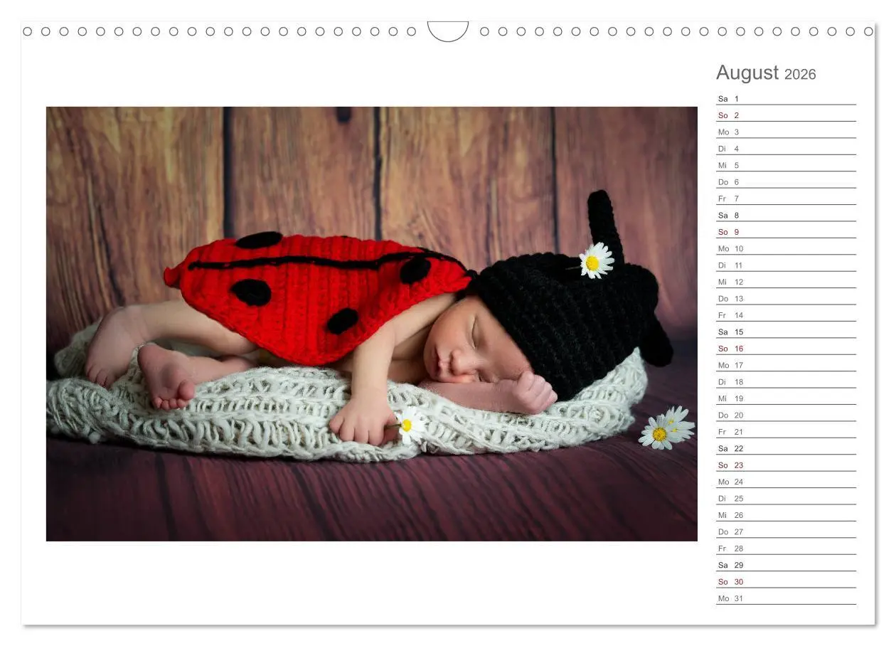 Bild: 9783457898673 | Aller Anfang ist klein - Babykalender mit Noah (Wandkalender 2026...