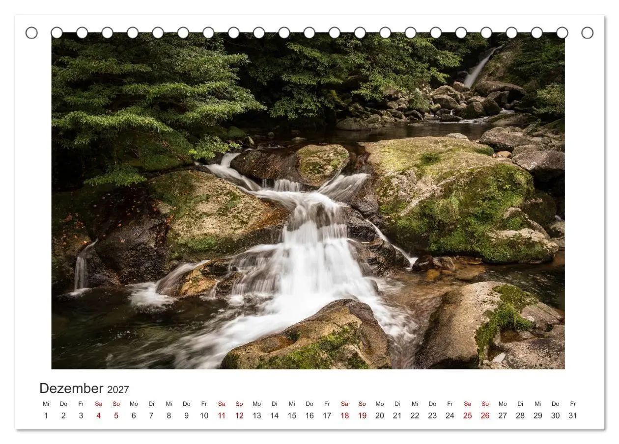 Bild: 9783569768673 | Yakushima - Japans Weltnaturerbe (Tischkalender 2027 DIN A5 quer),...
