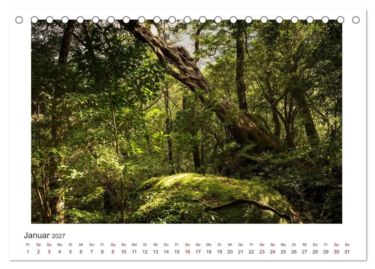 Bild: 9783569768673 | Yakushima - Japans Weltnaturerbe (Tischkalender 2027 DIN A5 quer),...