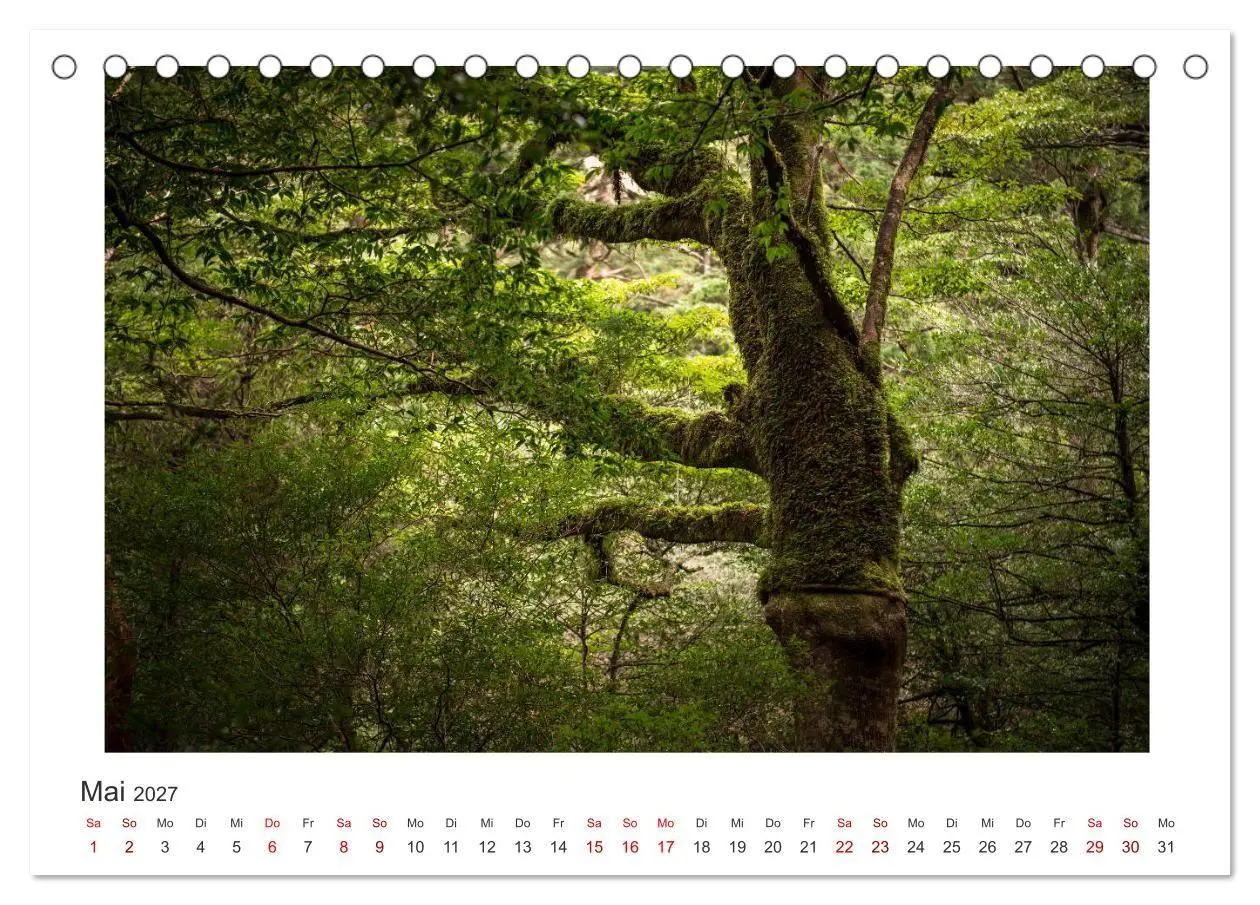 Bild: 9783569768673 | Yakushima - Japans Weltnaturerbe (Tischkalender 2027 DIN A5 quer),...