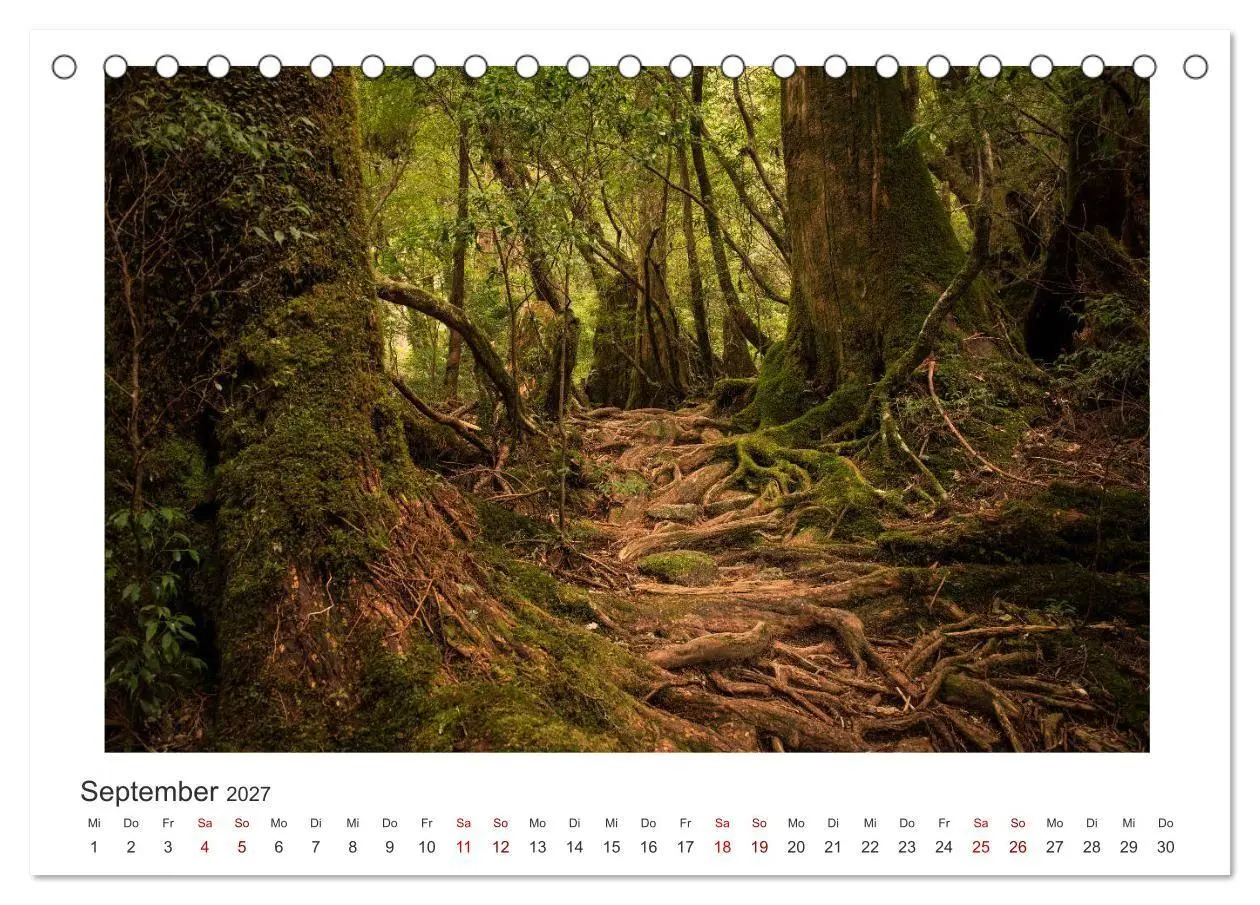Bild: 9783569768673 | Yakushima - Japans Weltnaturerbe (Tischkalender 2027 DIN A5 quer),...