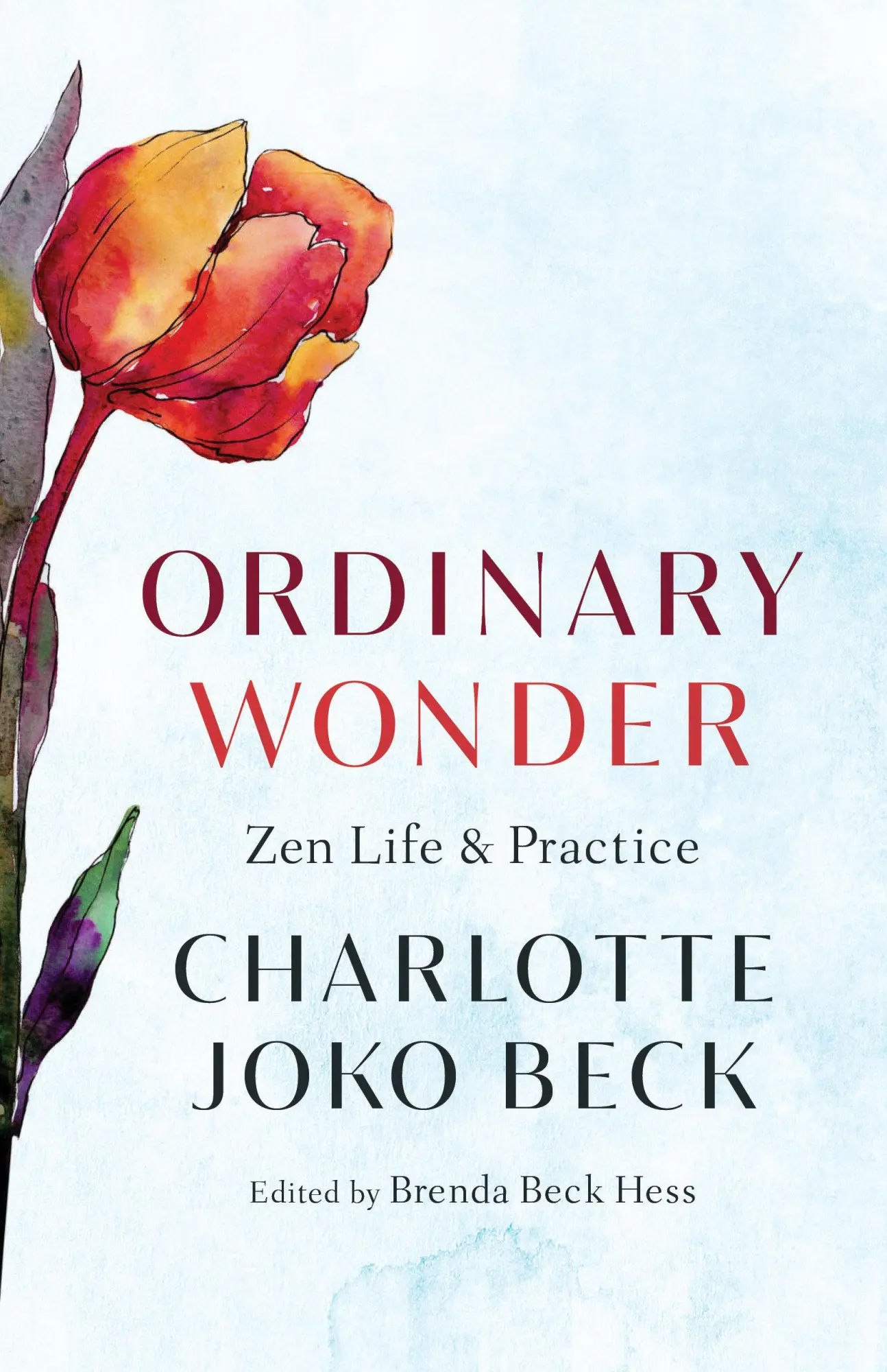 Cover: 9781611808773 | Ordinary Wonder | Zen Life and Practice | Charlotte Joko Beck | Buch
