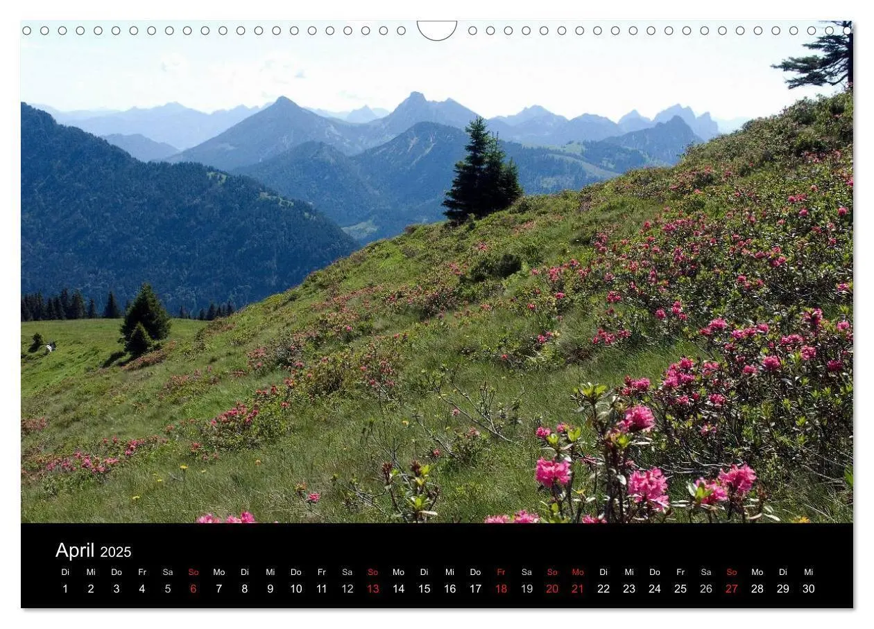 Bild: 9783435558773 | Allgäuer Impressionen (Wandkalender 2025 DIN A3 quer), CALVENDO...