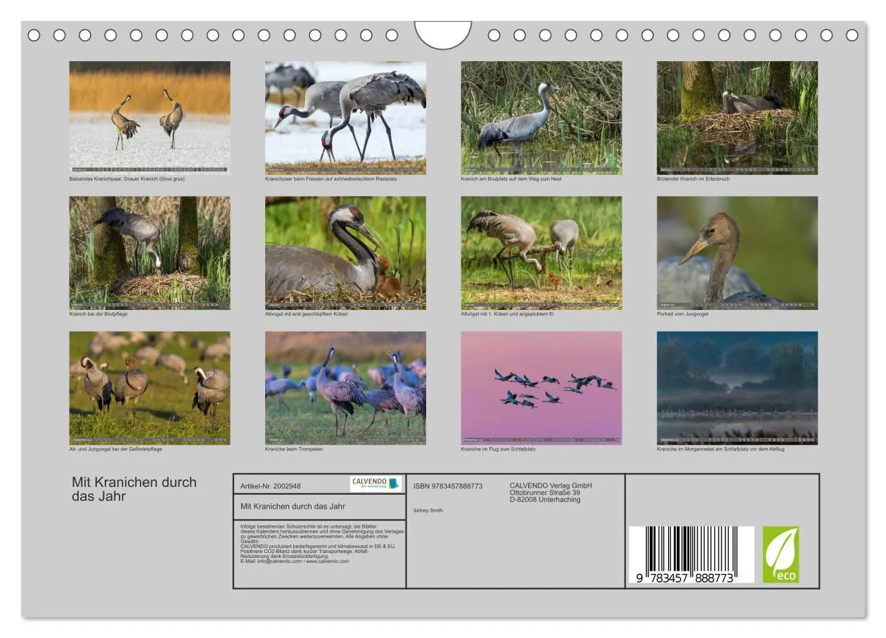 Bild: 9783457888773 | Mit Kranichen durch das Jahr (Wandkalender 2026 DIN A4 quer),...