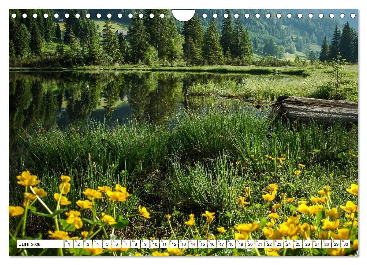 Bild: 9783457958773 | Geliebte Steiermark im Herzen Österreichs (Wandkalender 2026 DIN A4...