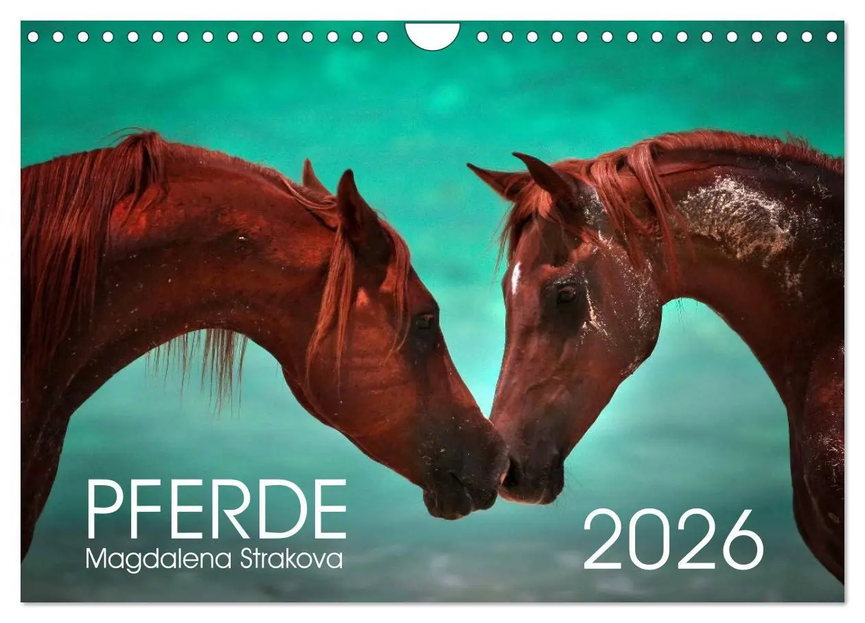 Cover: 9783516038873 | Pferde - Magdalena Strakova (Wandkalender 2026 DIN A4 quer),...