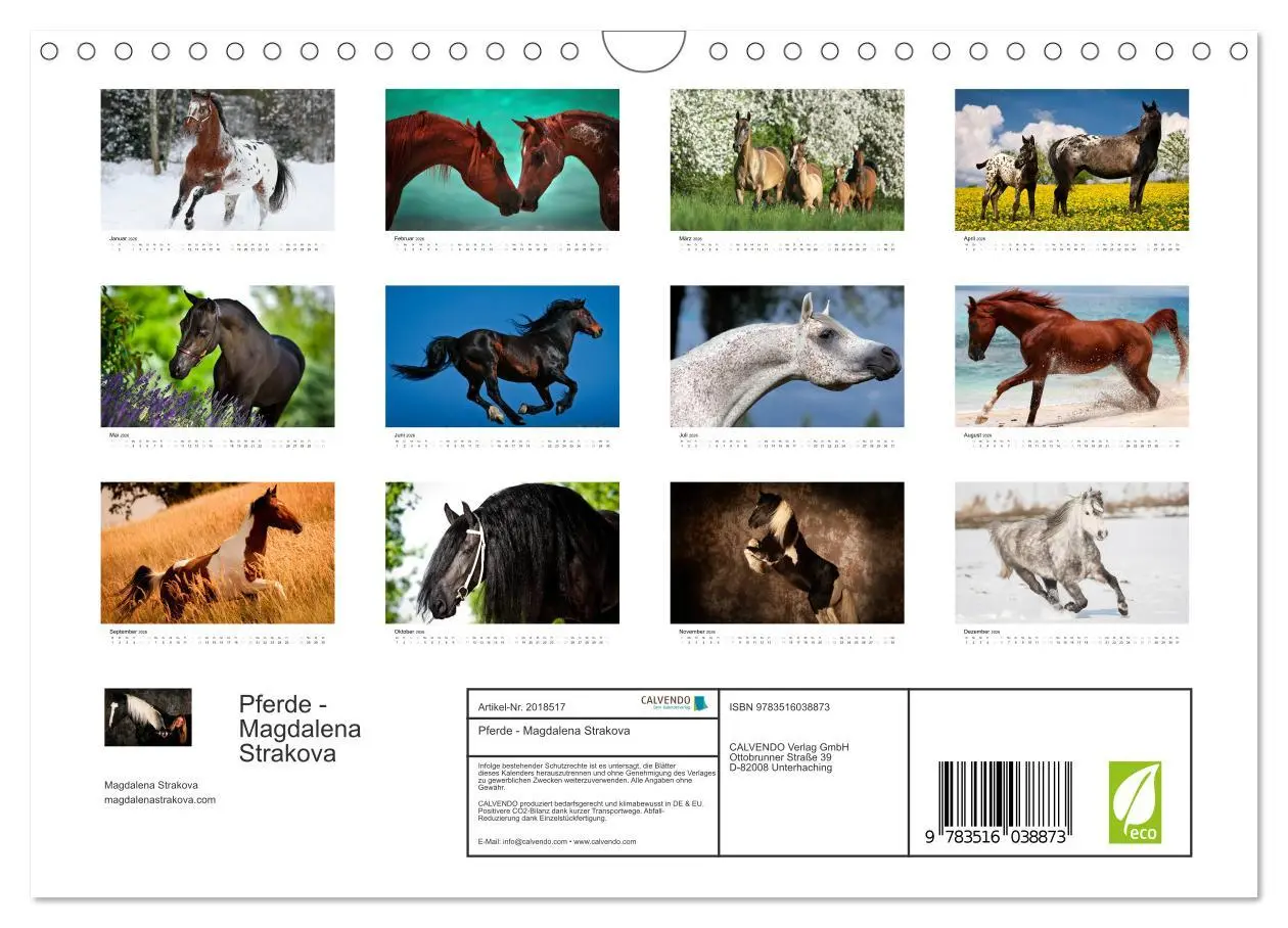 Bild: 9783516038873 | Pferde - Magdalena Strakova (Wandkalender 2026 DIN A4 quer),...