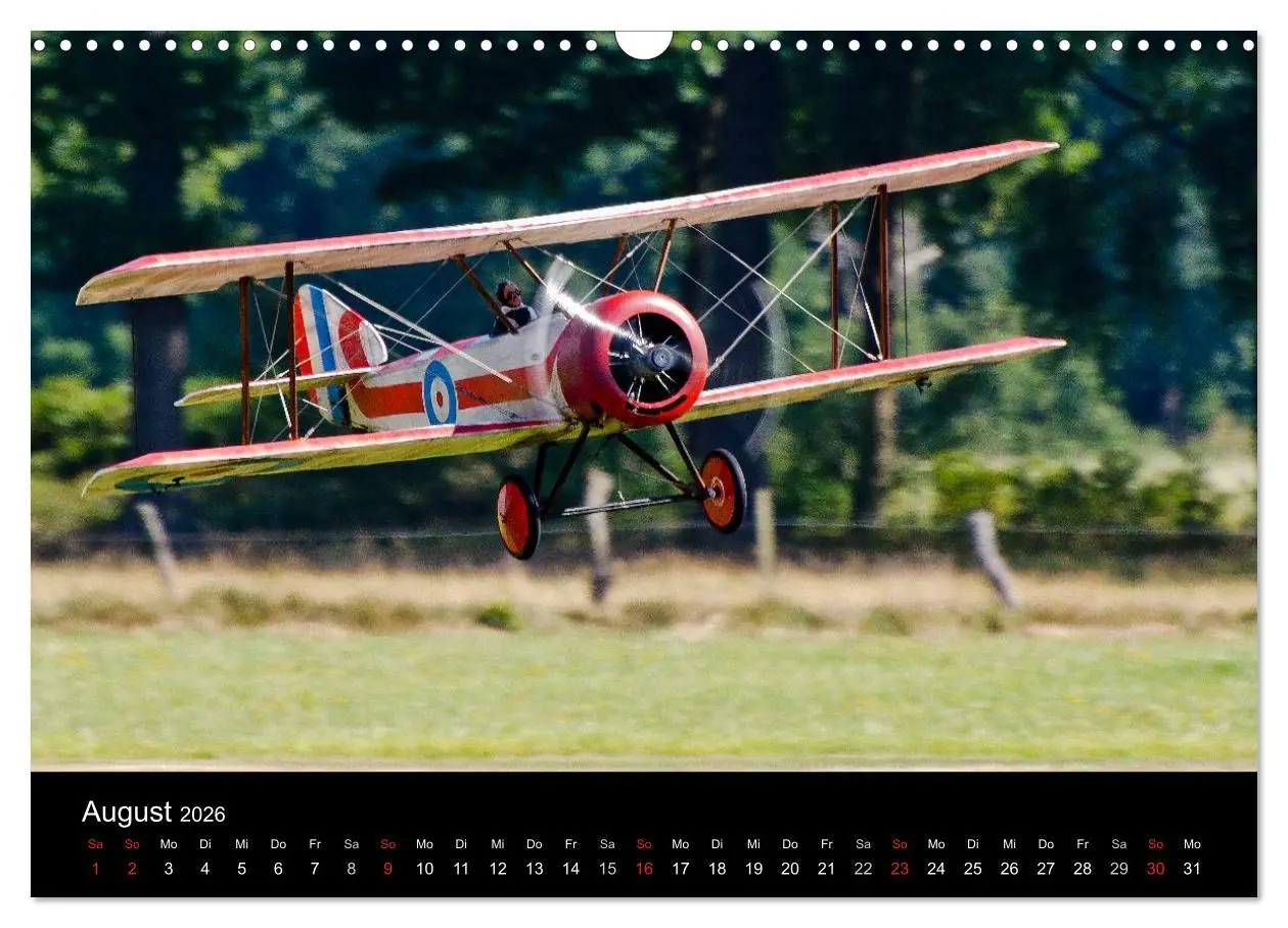 Bild: 9783516108873 | Modellflieger / CH-Version (Wandkalender 2026 DIN A3 quer),...