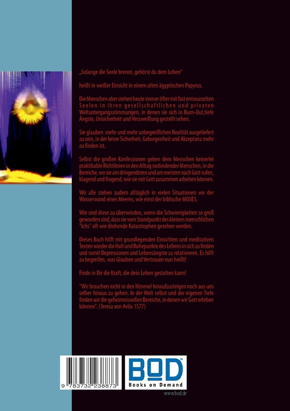 Rückseite: 9783732238873 | Rebell der Seele | Axel W. Englert | Taschenbuch | 304 S. | Deutsch