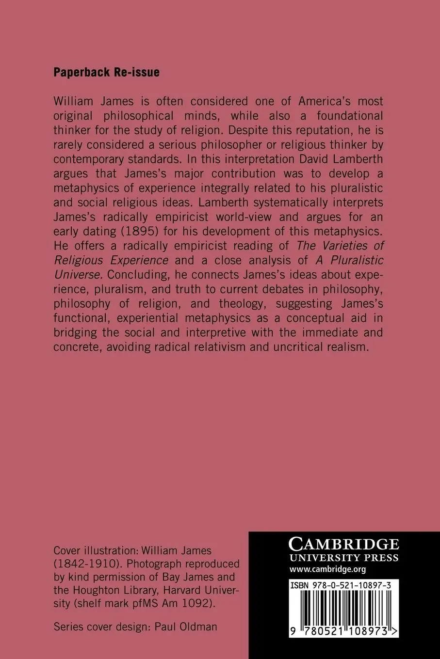 Rückseite: 9780521108973 | William James and the Metaphysics of Experience | David C. Lamberth