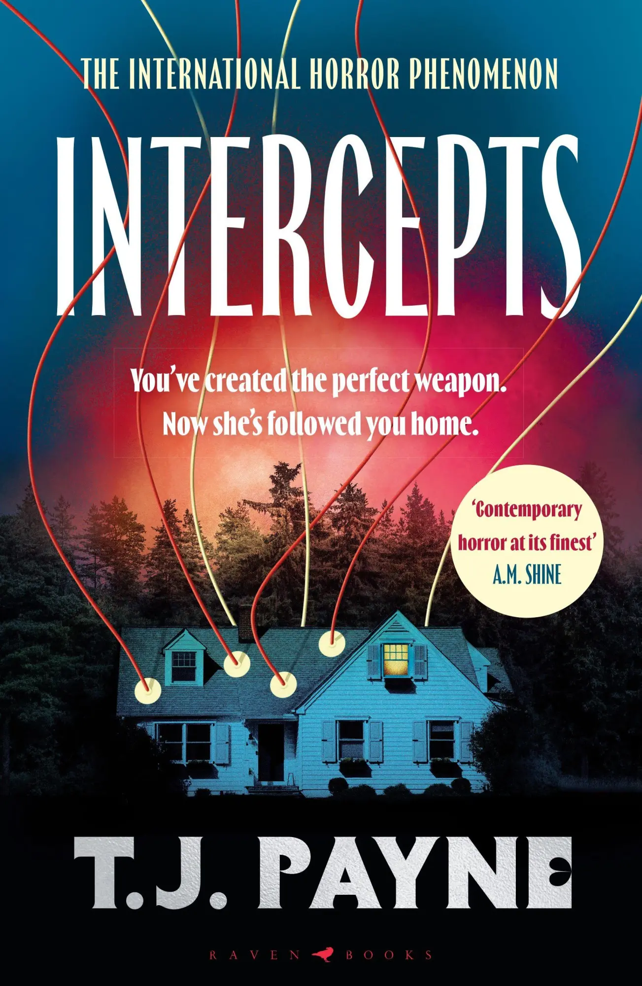 Cover: 9781037208973 | Intercepts | 'Contemporary horror at its finest' A. M. Shine | Payne