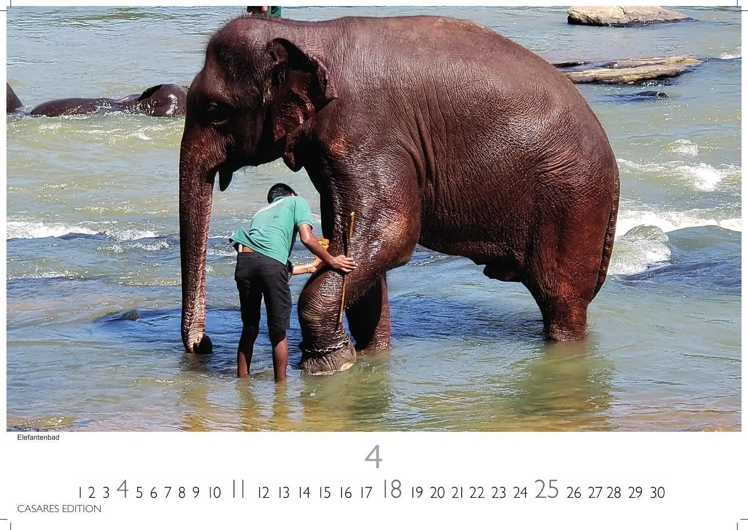 Bild: 9781835248973 | Sri Lanka Kalender 2027 - Wandkalender Fotokalender Asien 35x50cm...