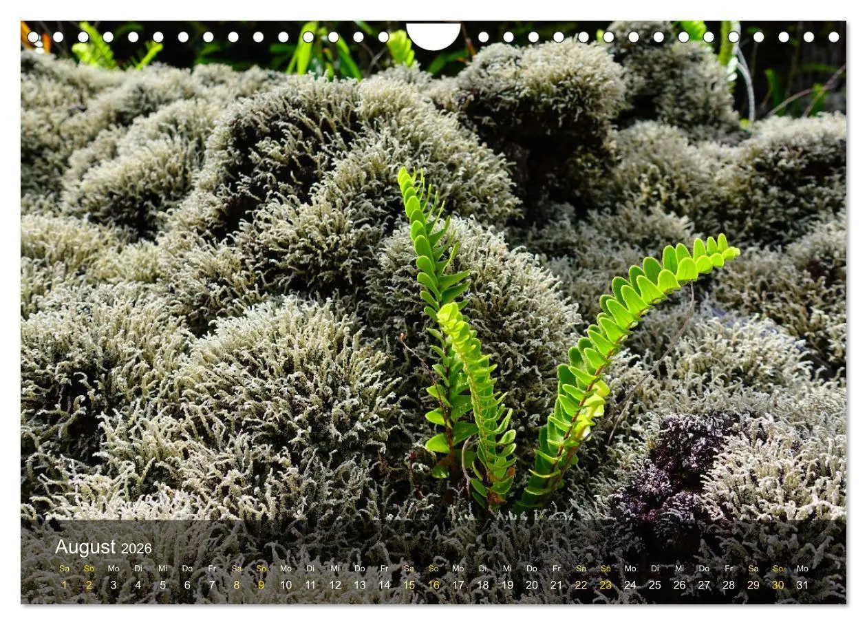 Bild: 9783457248973 | La Reunion - Traumhafte Küsten und Hochgebirge (Wandkalender 2026...