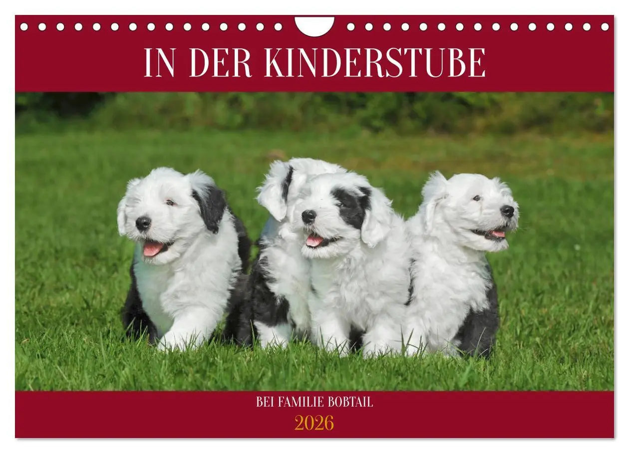 Cover: 9783457318973 | In der Kinderstube bei Familie Bobtail (Wandkalender 2026 DIN A4...