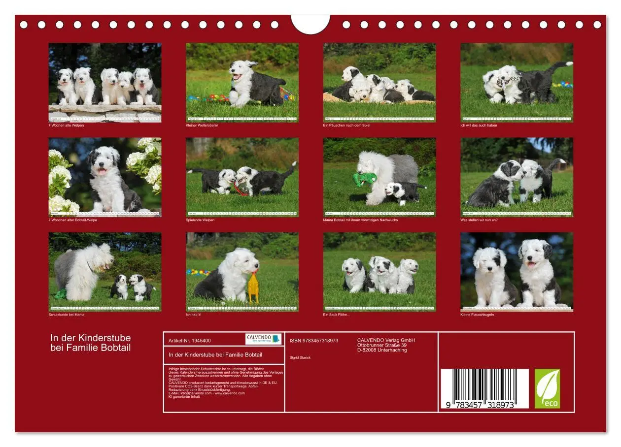 Bild: 9783457318973 | In der Kinderstube bei Familie Bobtail (Wandkalender 2026 DIN A4...