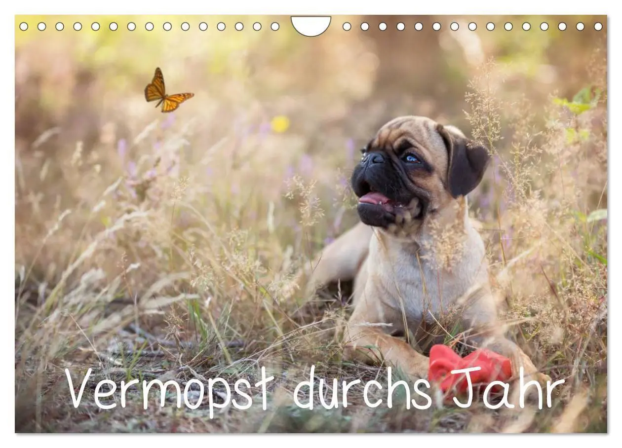 Cover: 9783516028973 | Vermopst durchs Jahr (Wandkalender 2026 DIN A4 quer), CALVENDO...