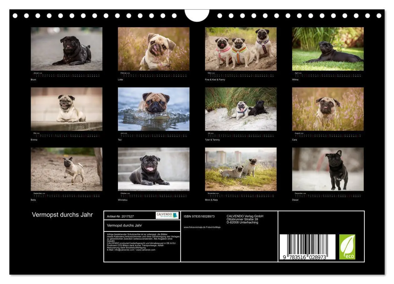 Bild: 9783516028973 | Vermopst durchs Jahr (Wandkalender 2026 DIN A4 quer), CALVENDO...