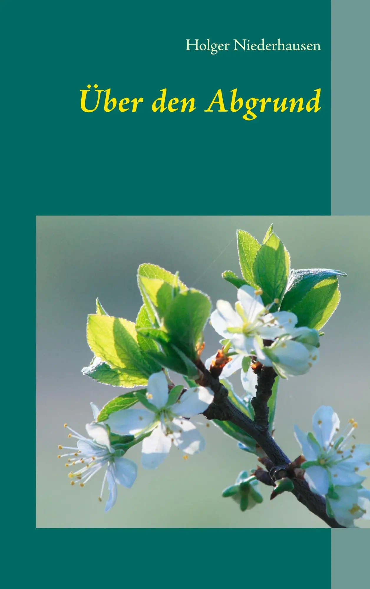 Cover: 9783738648973 | Über den Abgrund | Holger Niederhausen | Taschenbuch | 204 S. | 2015