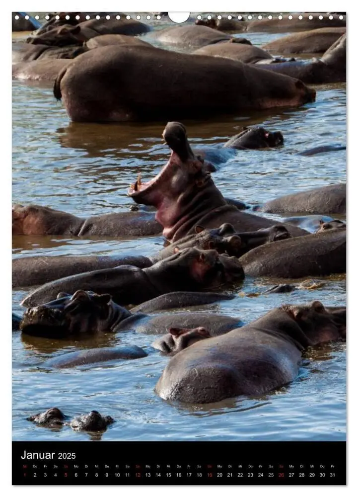 Bild: 9783457069073 | Wildes Afrika (Wandkalender 2025 DIN A3 hoch), CALVENDO Monatskalender