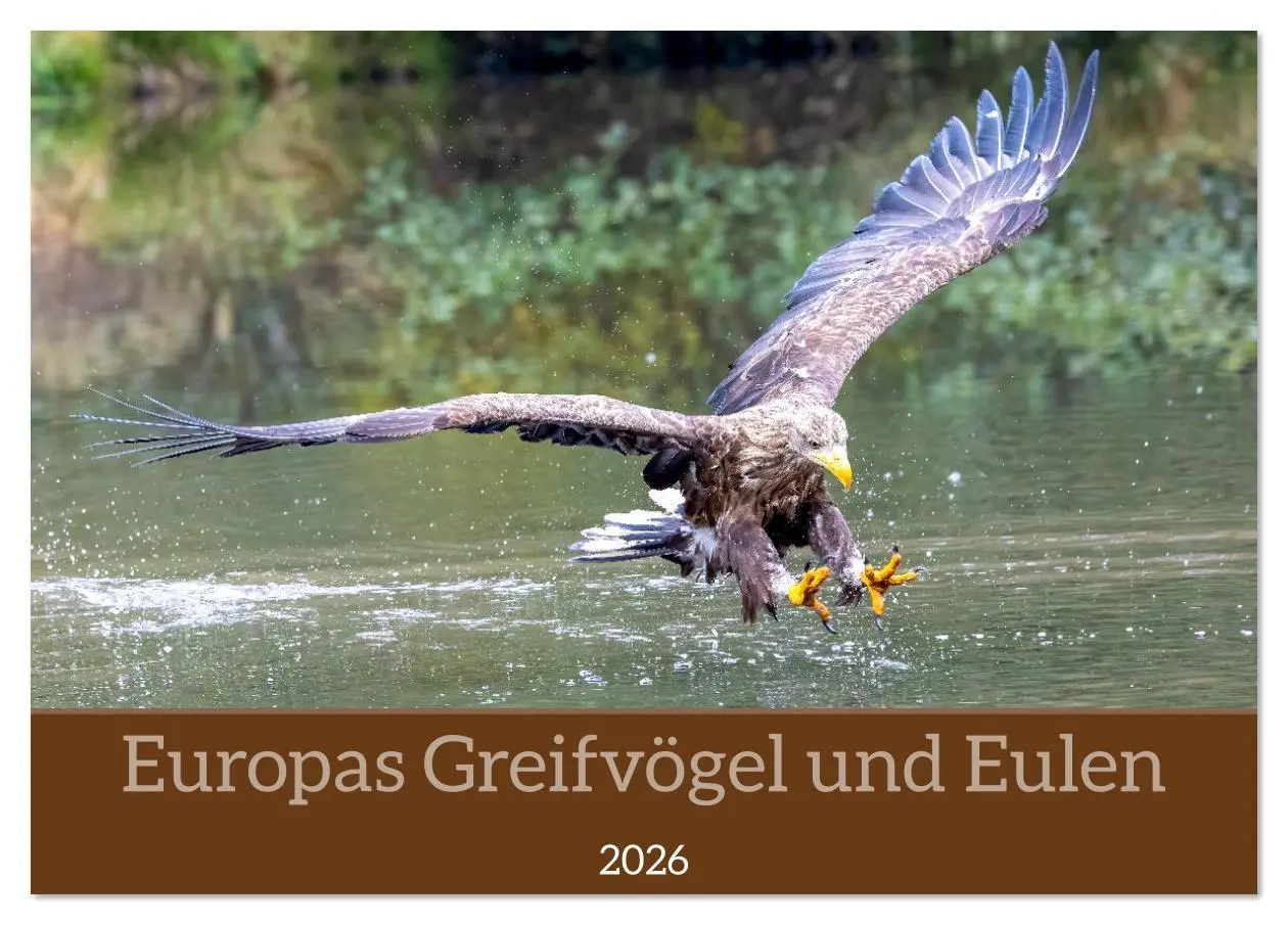 Cover: 9783516609073 | Europas Greifvögel und Eulen (Tischkalender 2026 DIN A5 quer),...