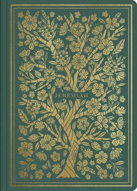 Cover: 9781433569173 | ESV Illuminated Scripture Journal: Jeremiah | Taschenbuch | Englisch