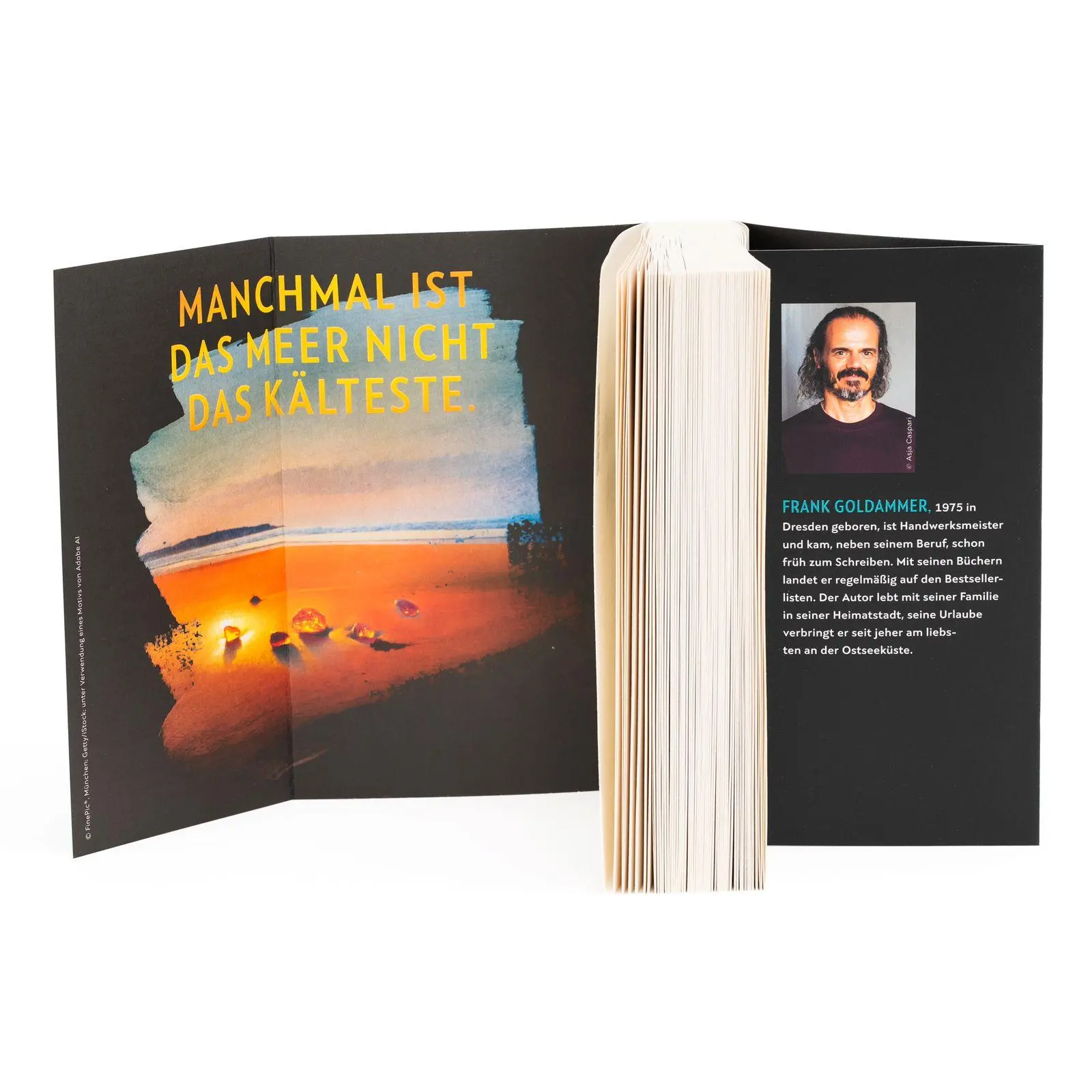 Bild: 9783499019173 | Strandopfer | Frank Goldammer | Taschenbuch | 416 S. | Deutsch | 2026