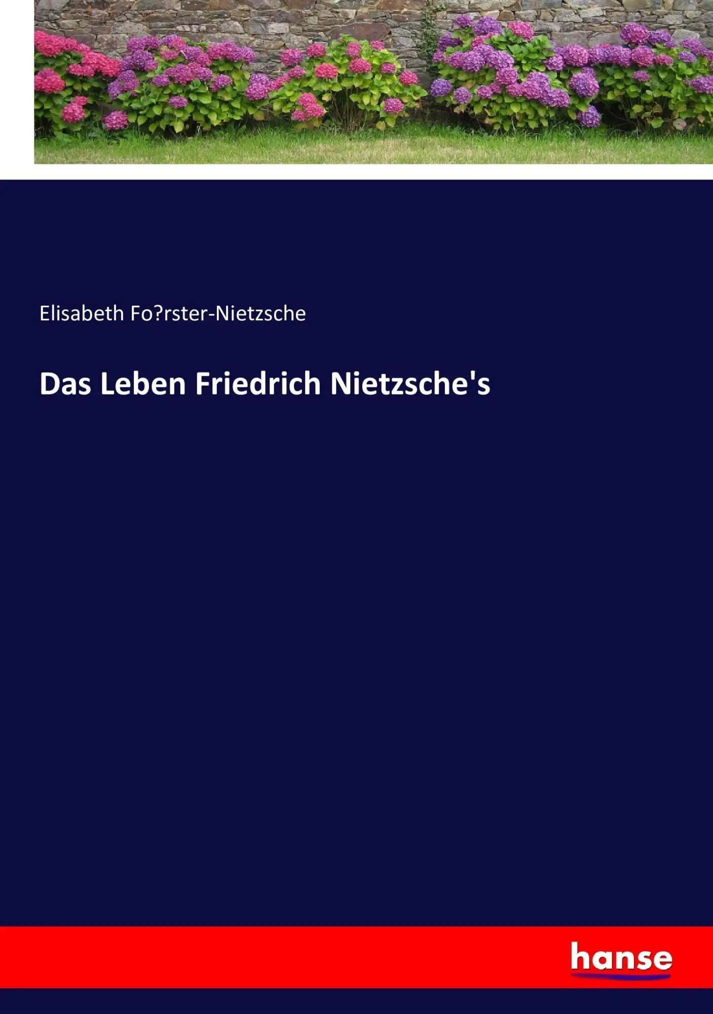 Cover: 9783743619173 | Das Leben Friedrich Nietzsche's | Elisabeth Fo¿rster-Nietzsche | Buch