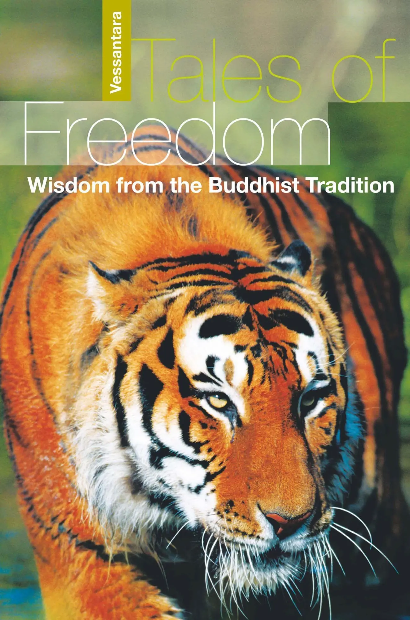 Cover: 9781899579273 | Tales of Freedom | Wisdom from the Buddhist Tradition | Vessantara