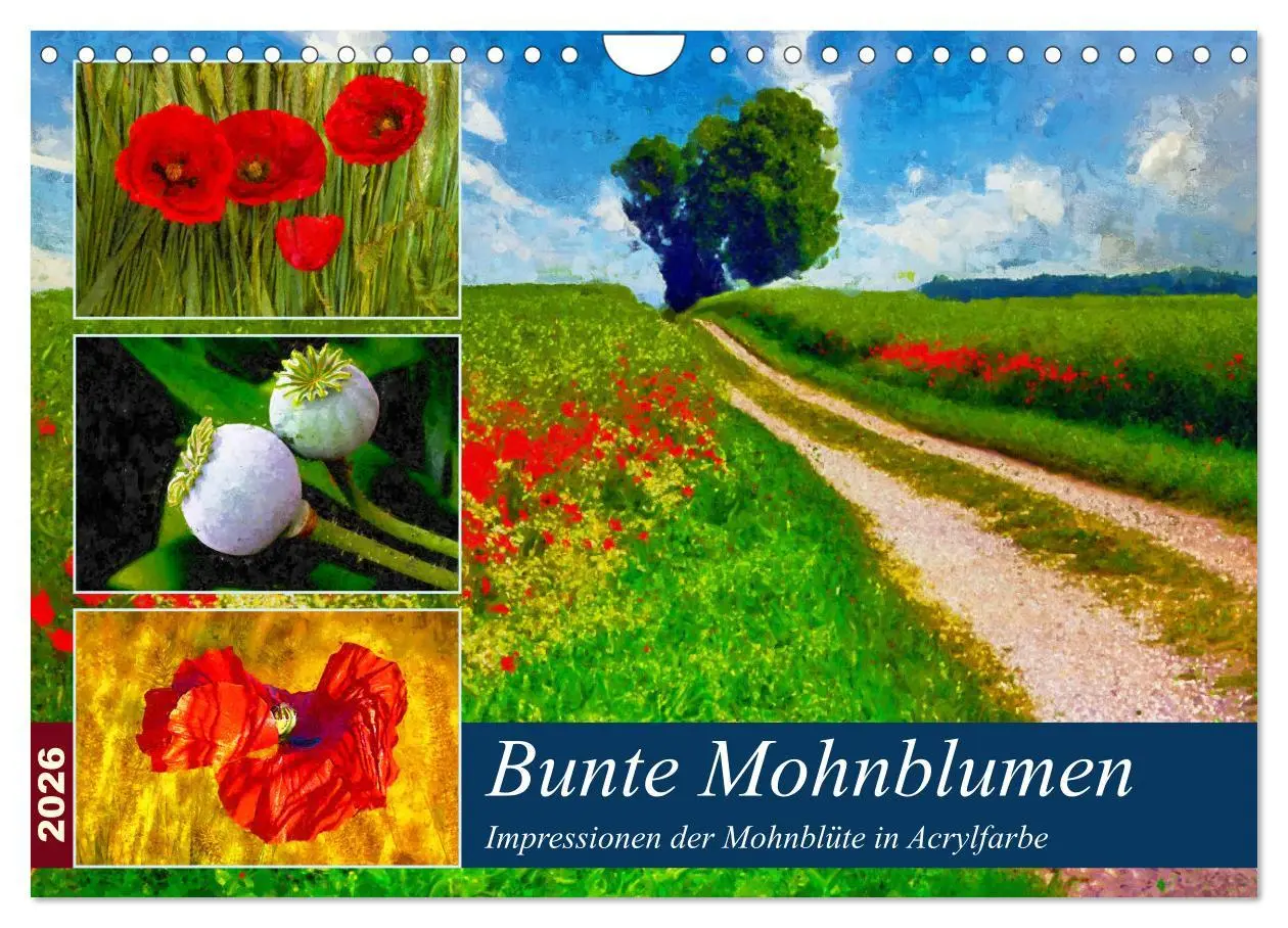 Cover: 9783457599273 | Bunte Mohnblumen - Impressionen der Mohnblüte in Acrylfarbe...