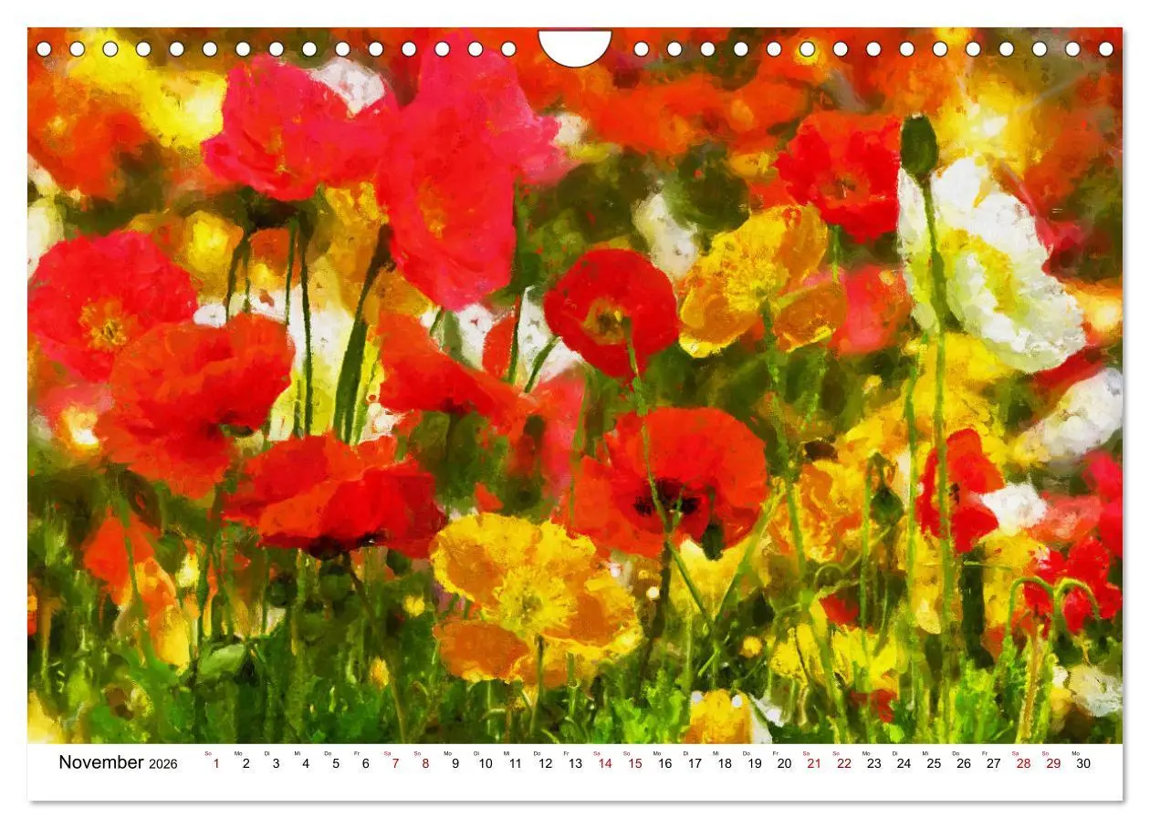 Bild: 9783457599273 | Bunte Mohnblumen - Impressionen der Mohnblüte in Acrylfarbe...