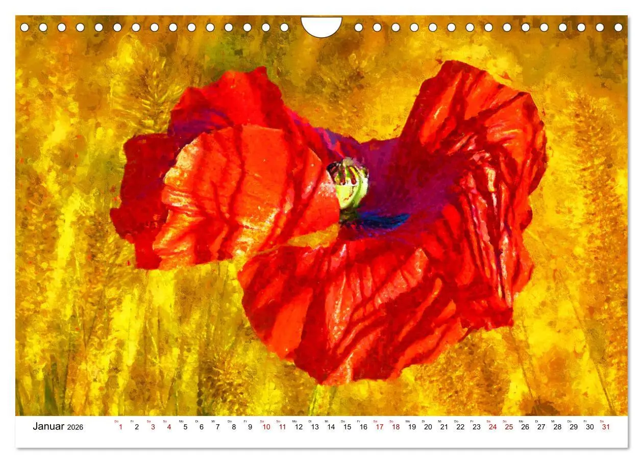 Bild: 9783457599273 | Bunte Mohnblumen - Impressionen der Mohnblüte in Acrylfarbe...
