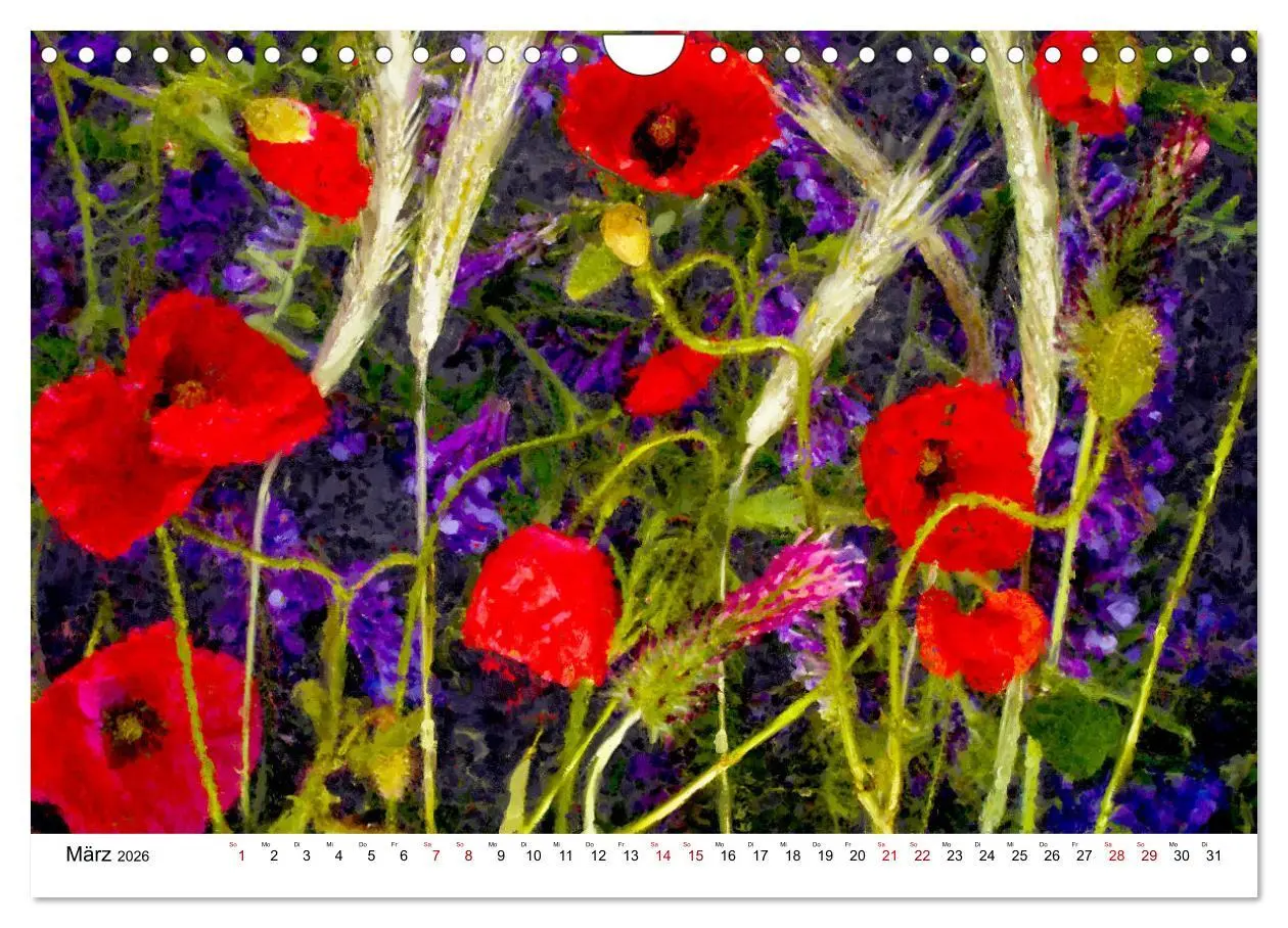 Bild: 9783457599273 | Bunte Mohnblumen - Impressionen der Mohnblüte in Acrylfarbe...